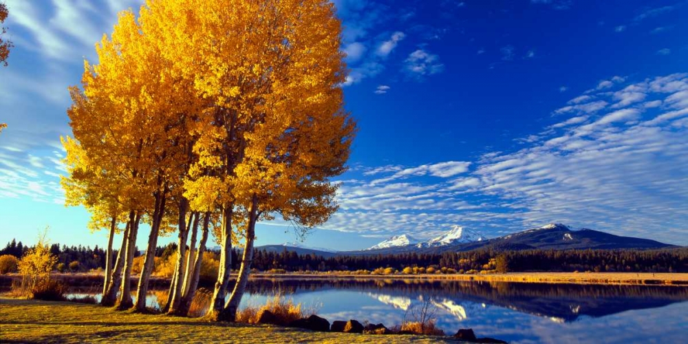 Sisters in Autumn I art print by Ike Leahy for $57.95 CAD