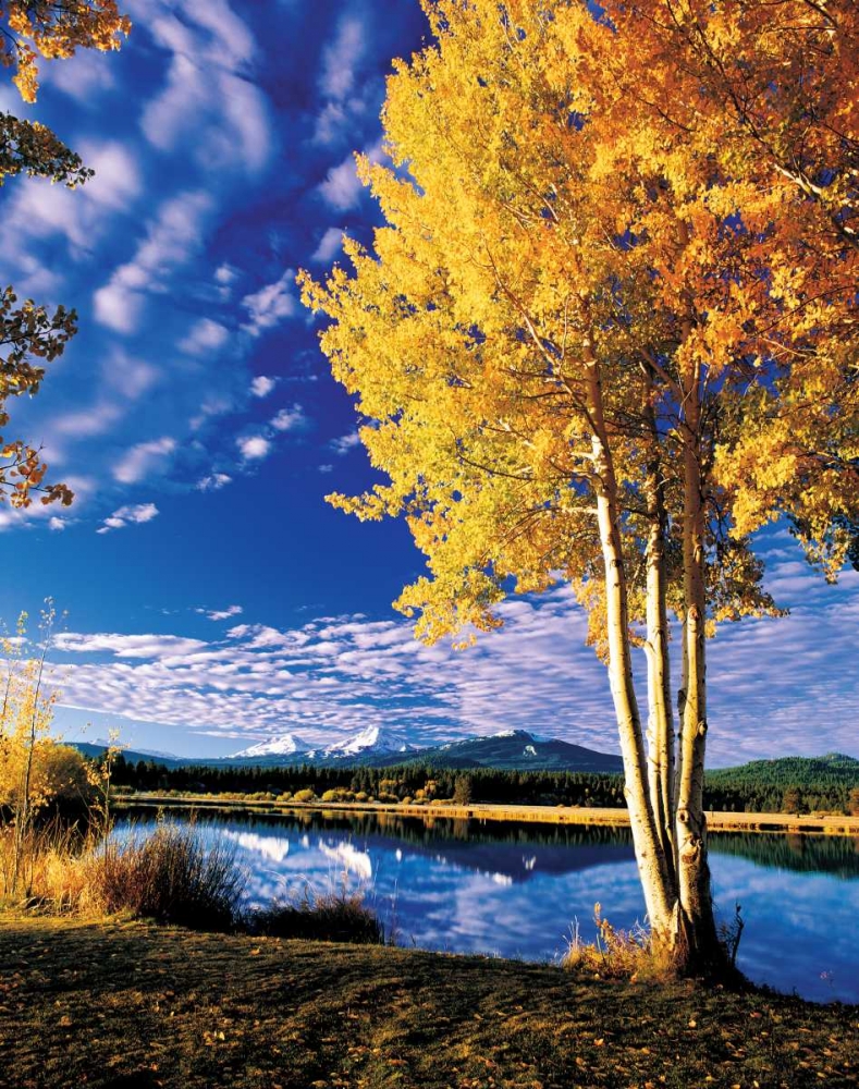 Sisters in Autumn II art print by Ike Leahy for $57.95 CAD