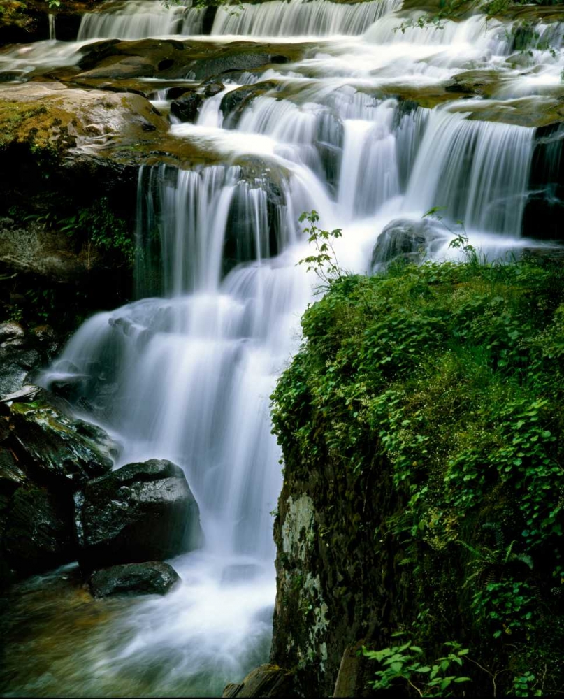 Lost Creek Falls art print by Ike Leahy for $57.95 CAD