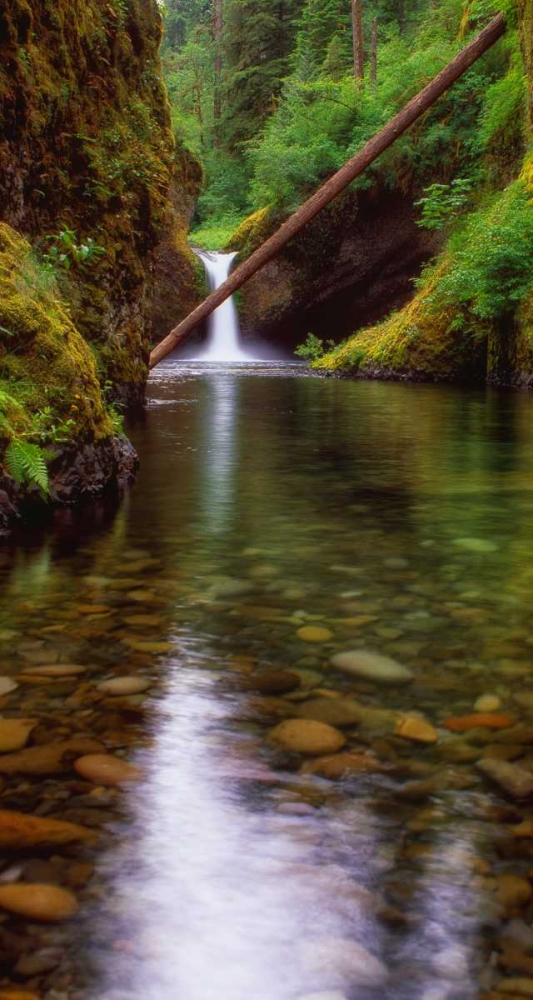 Punch Bowl Falls art print by Ike Leahy for $57.95 CAD