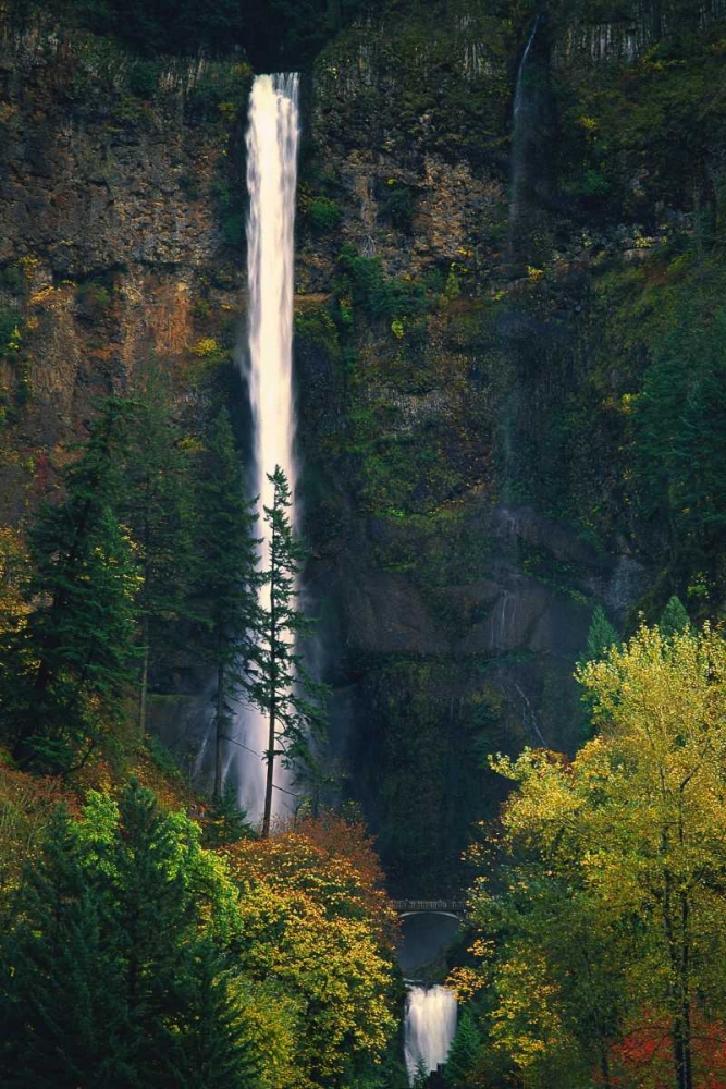 Multnomah Falls Autumn art print by Ike Leahy for $57.95 CAD