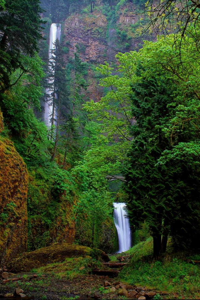 Multnomah Falls Spring art print by Ike Leahy for $57.95 CAD