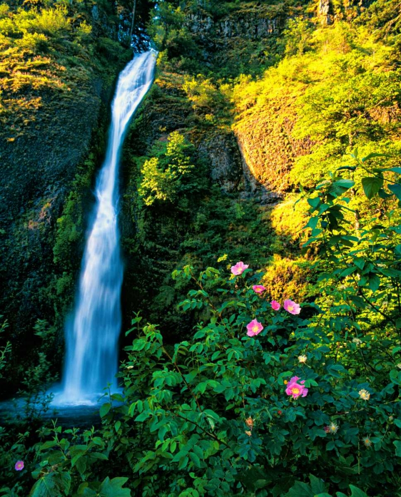 Horse Tail Falls art print by Ike Leahy for $57.95 CAD