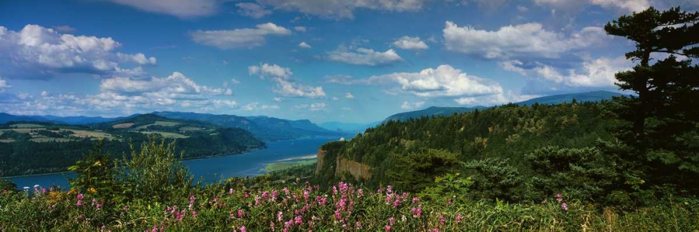 Columbia River Gorge V art print by Ike Leahy for $57.95 CAD