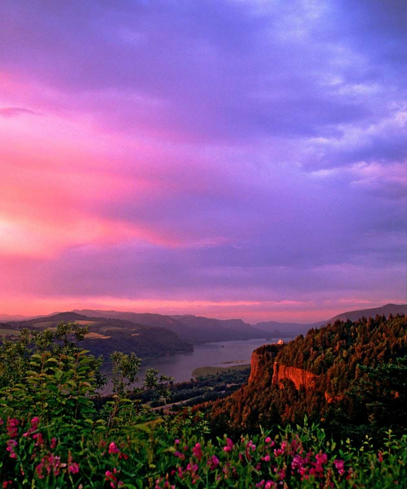 Columbia River Gorge IX art print by Ike Leahy for $57.95 CAD