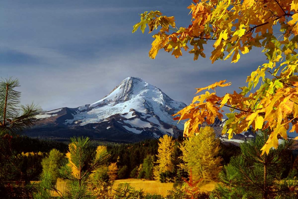 Mt. Hood Parkdale art print by Ike Leahy for $57.95 CAD