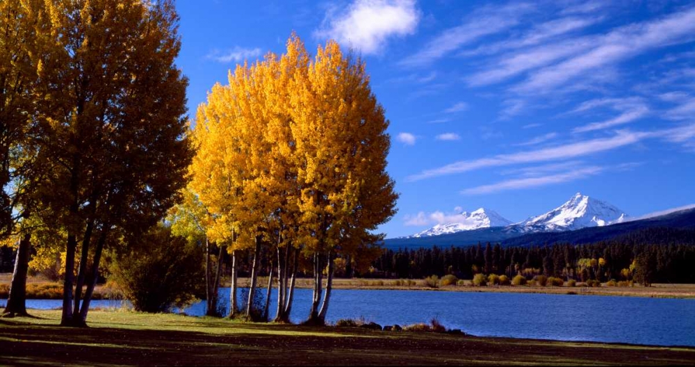 Sisters in Autumn III art print by Ike Leahy for $57.95 CAD