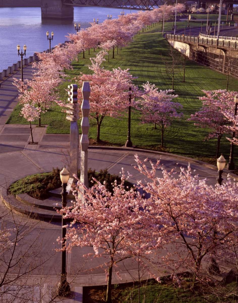 Spring in Portland art print by Ike Leahy for $57.95 CAD