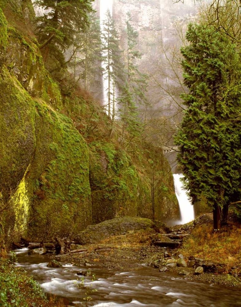 Multnomah Falls Creek Side art print by Ike Leahy for $57.95 CAD