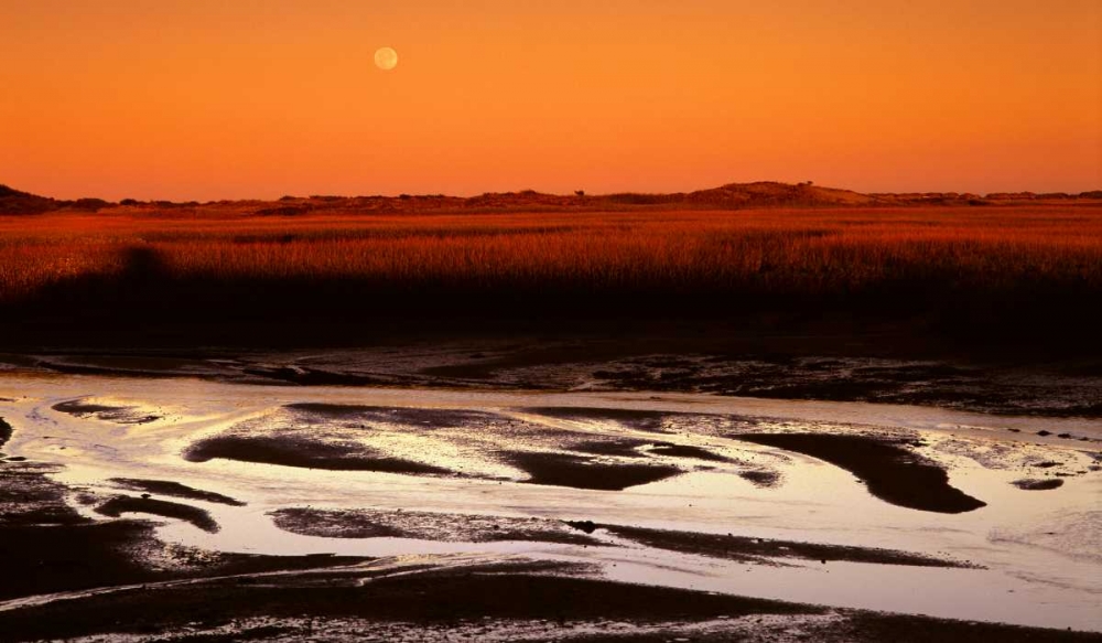 Moonrise Estuary art print by Ike Leahy for $57.95 CAD