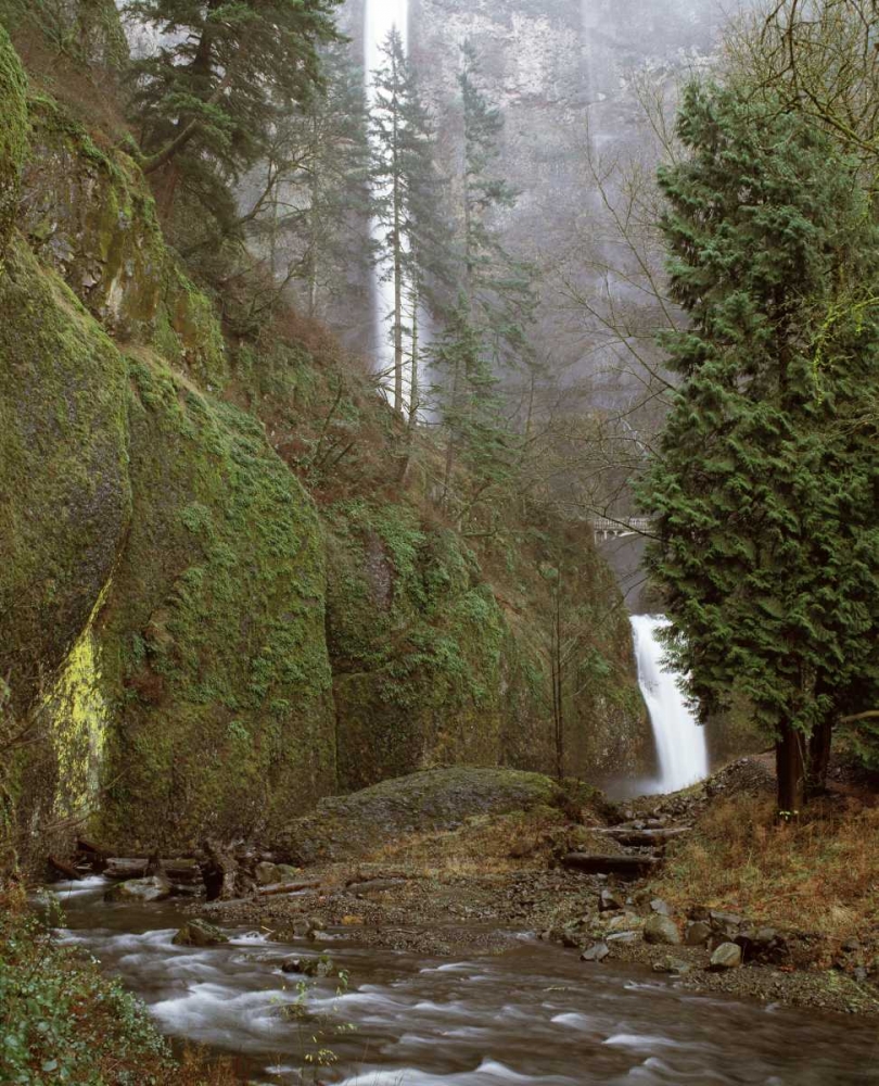 Multnomah Falls Creek Side II art print by Ike Leahy for $57.95 CAD