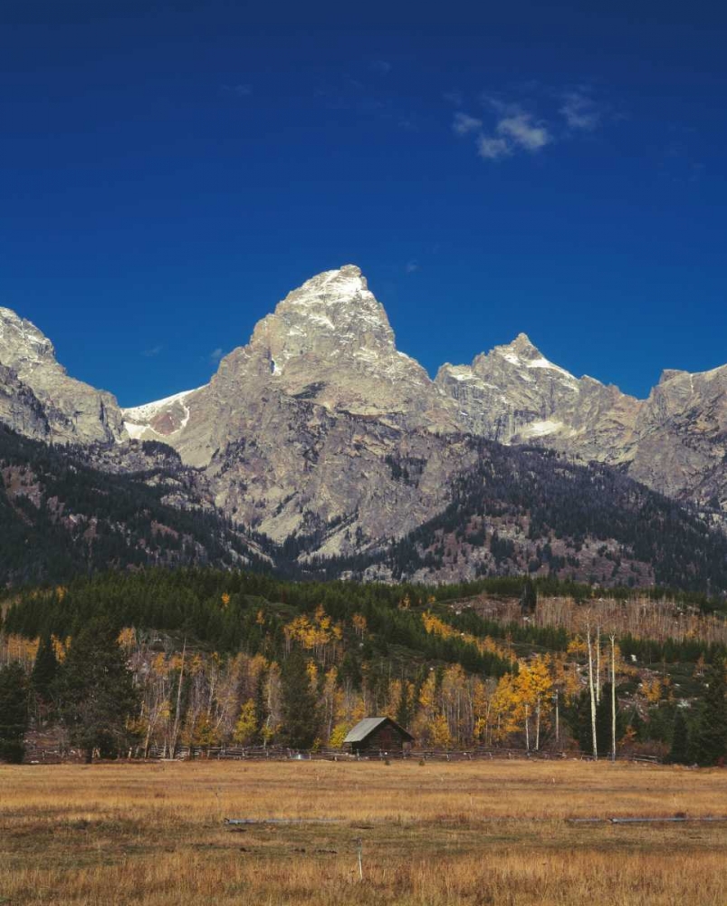 Cabin and Grand Teton art print by Ike Leahy for $57.95 CAD