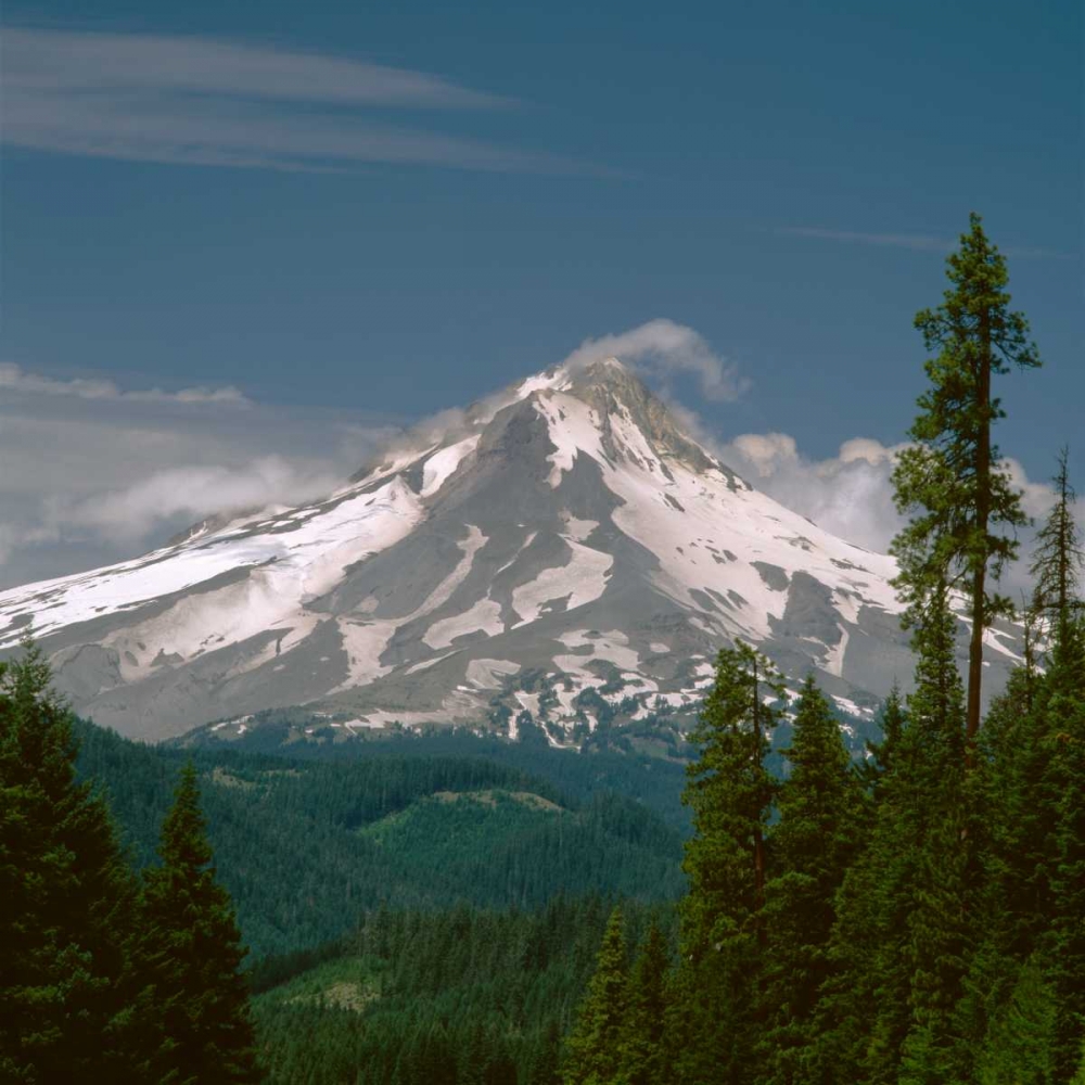Mt. Hood East Side art print by Ike Leahy for $57.95 CAD