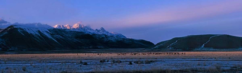 Winter Sunrise art print by Ike Leahy for $57.95 CAD
