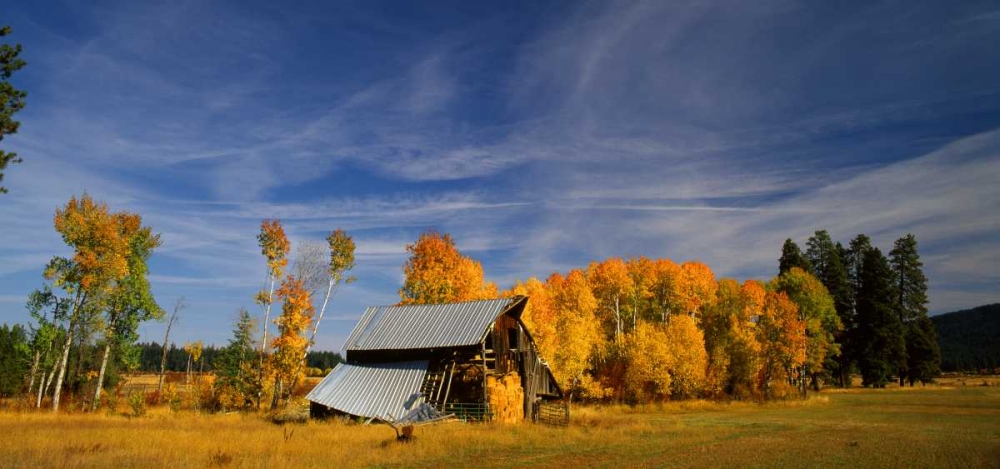 Old Barn art print by Ike Leahy for $57.95 CAD