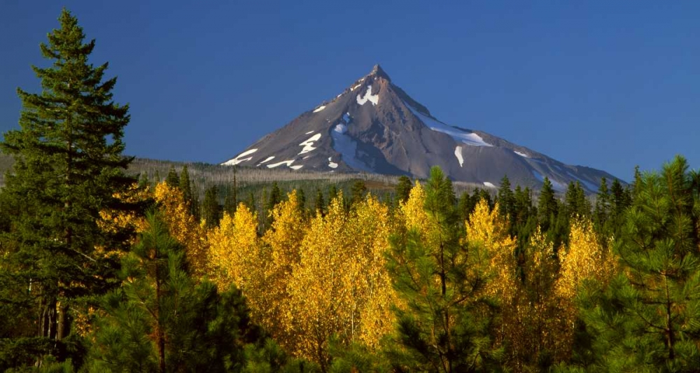 Mt. Jefferson art print by Ike Leahy for $57.95 CAD