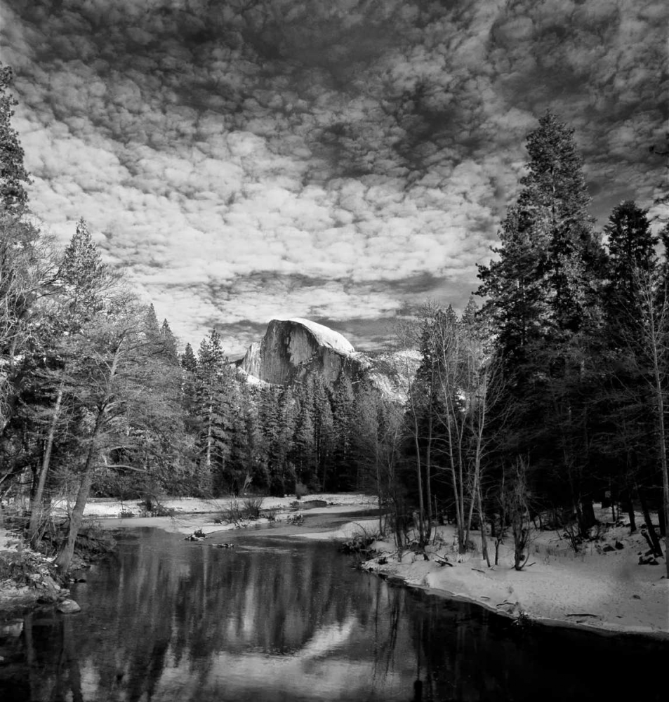 Reflection in the Merced art print by Ike Leahy for $57.95 CAD