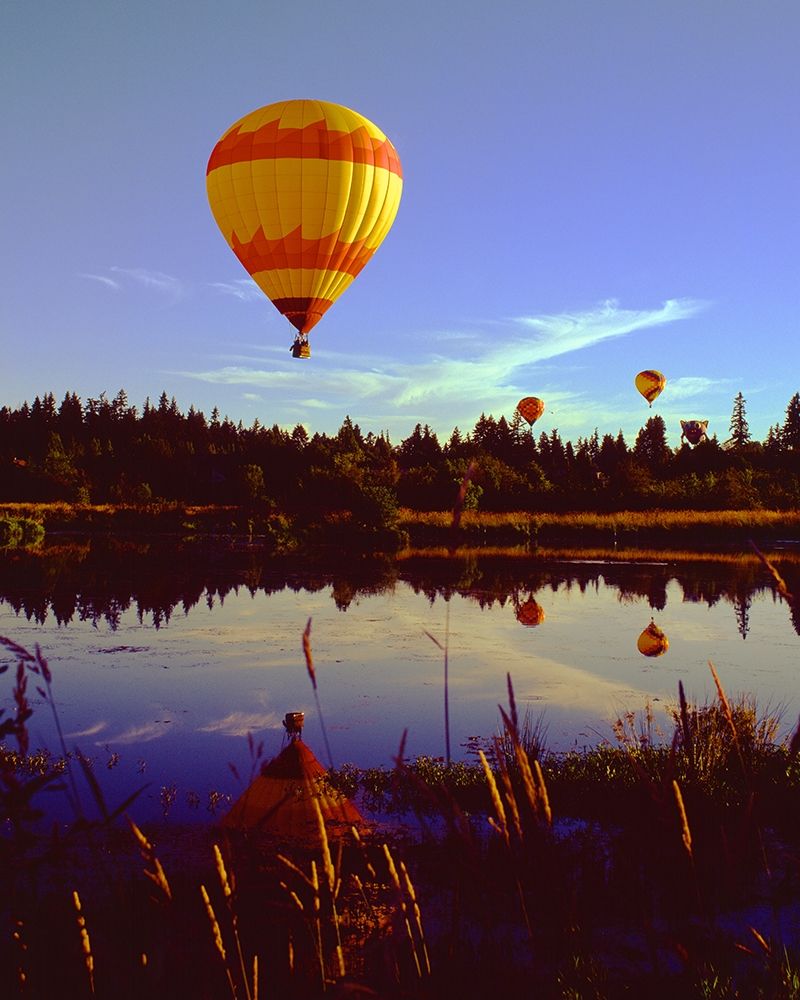 Hot Air Balloons art print by Ike Leahy for $57.95 CAD