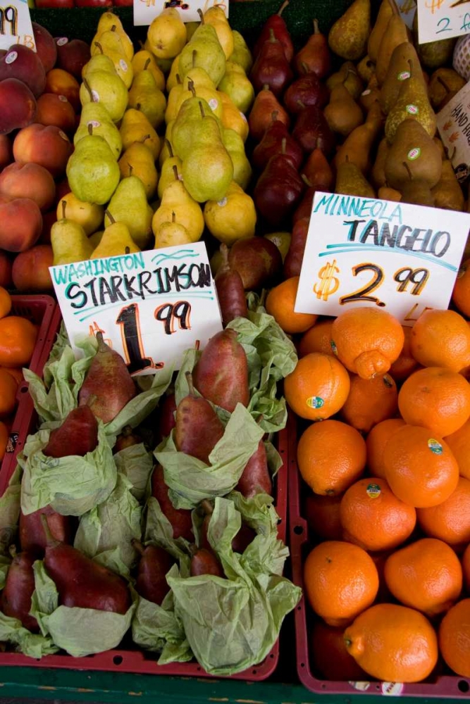 Fruit Stand II art print by Maureen Love for $57.95 CAD