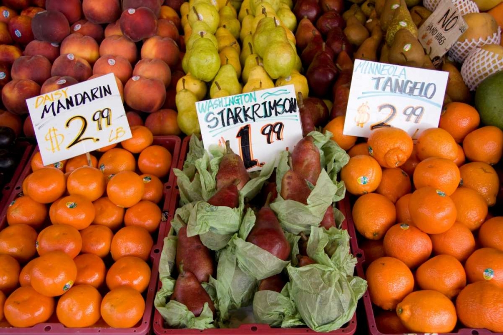 Fruit Stand III art print by Maureen Love for $57.95 CAD