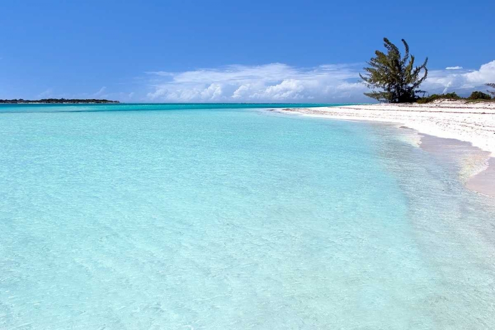 Beach Delliscay art print by Larry Malvin for $57.95 CAD