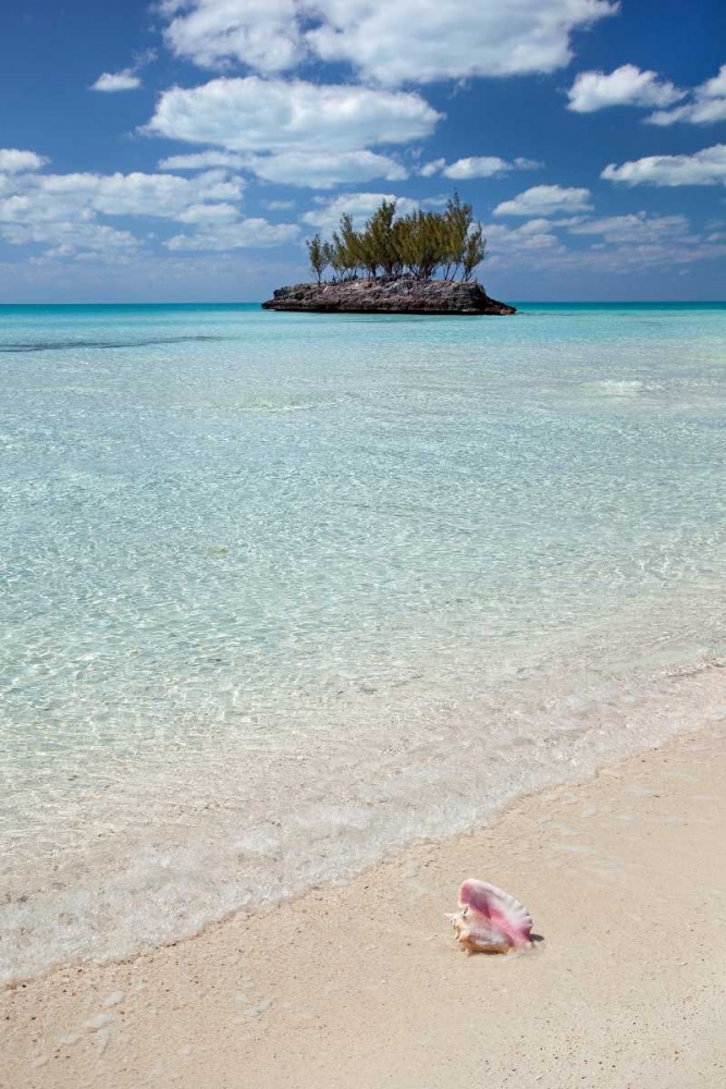 Gaulding Cay Conch art print by Larry Malvin for $57.95 CAD