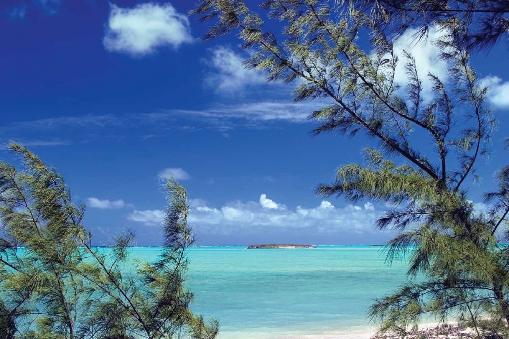 Pelican Cay art print by Larry Malvin for $57.95 CAD