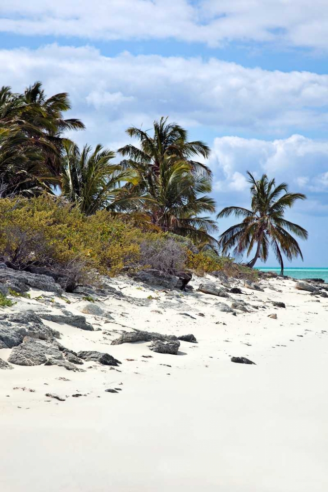 Schooner Cay Coastline art print by Larry Malvin for $57.95 CAD