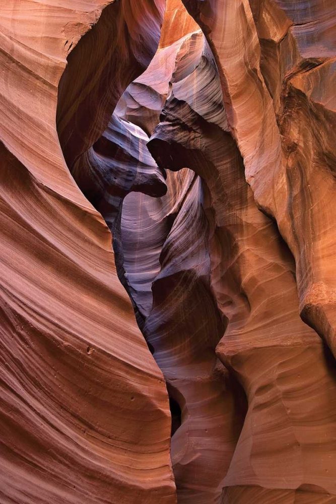 Upper Antelope I art print by Larry Malvin for $57.95 CAD