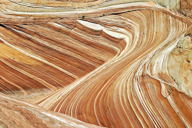 Wave Swirls art print by Larry Malvin for $57.95 CAD