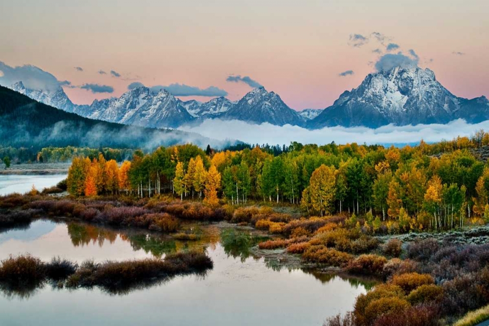 Fog Above Oxbow Bend art print by Larry Malvin for $57.95 CAD
