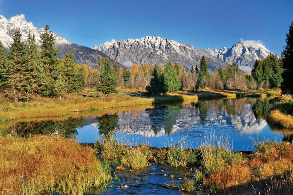 Schwabacher Pond art print by Larry Malvin for $57.95 CAD
