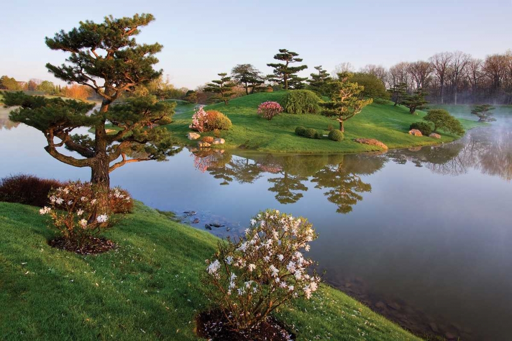 Botanic Dawn II art print by Larry Malvin for $57.95 CAD