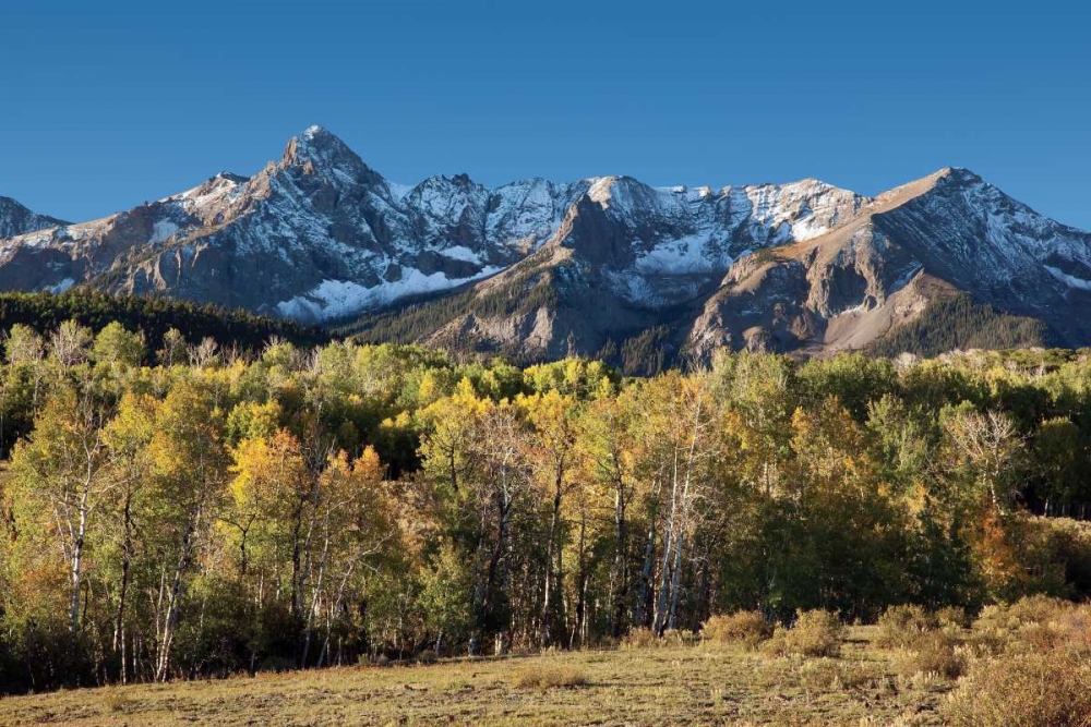 Sneffles Range Dallas Divide art print by Larry Malvin for $57.95 CAD