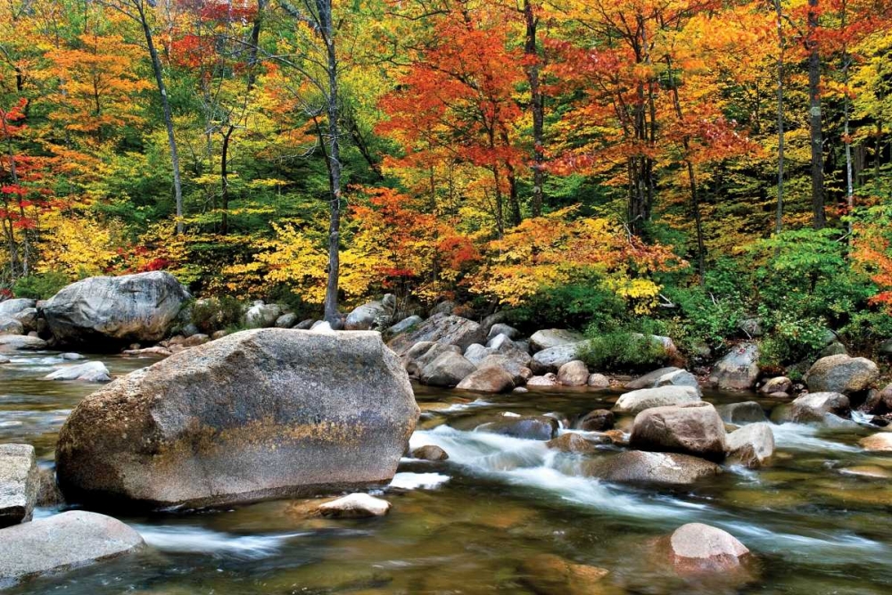 Swift River Pass Scenic art print by Larry Malvin for $57.95 CAD
