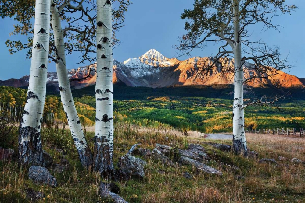 Wilson Peak Aspens I art print by Larry Malvin for $57.95 CAD