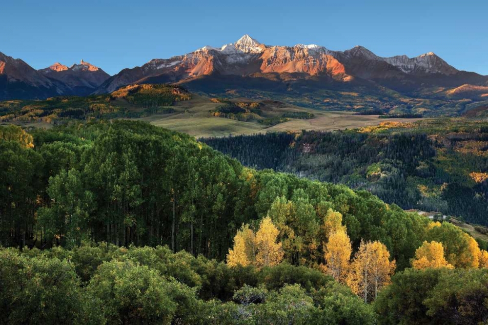 Wilson Peak Yellow Aspen Hills art print by Larry Malvin for $57.95 CAD