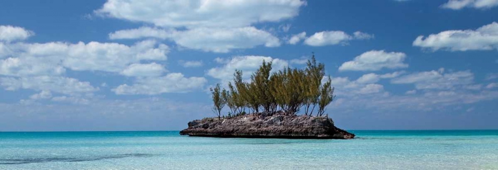 Gaulding Cay Conch Panel art print by Larry Malvin for $57.95 CAD