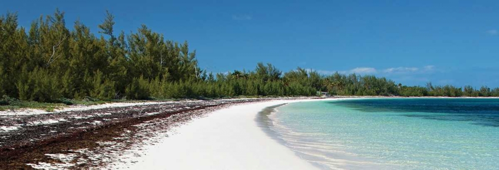 Winding Bay Beach II Panel art print by Larry Malvin for $57.95 CAD
