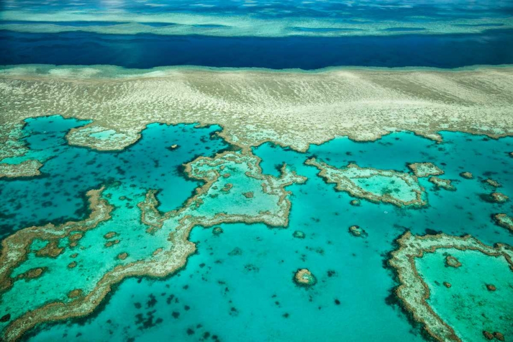 Coral River I art print by Larry Malvin for $57.95 CAD