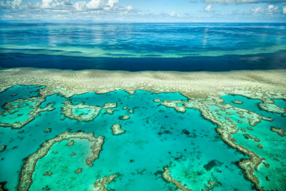 Coral River II art print by Larry Malvin for $57.95 CAD