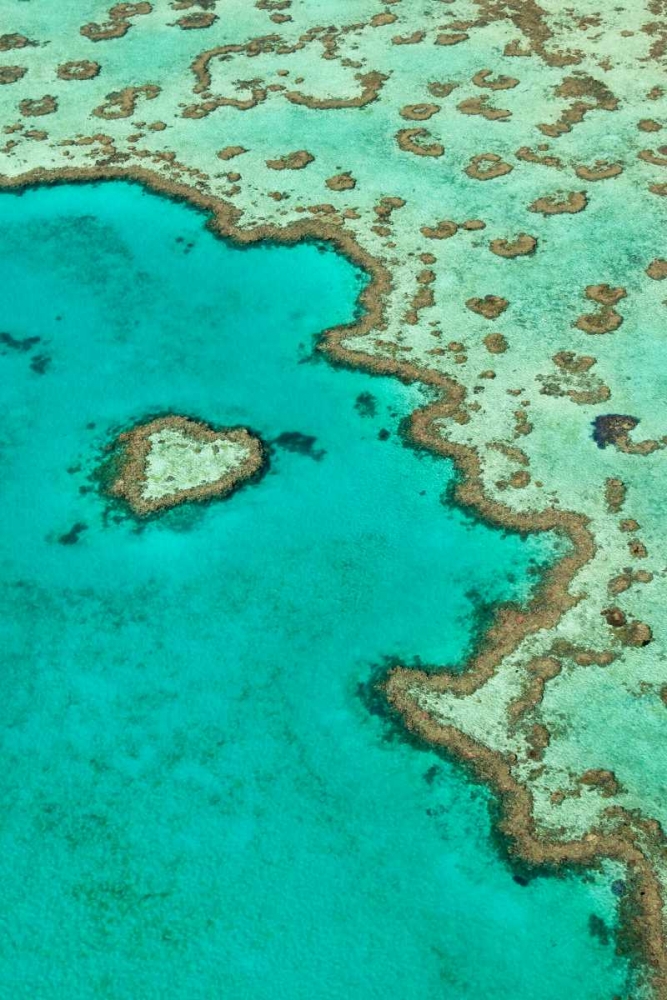 Heart Reef II art print by Larry Malvin for $57.95 CAD