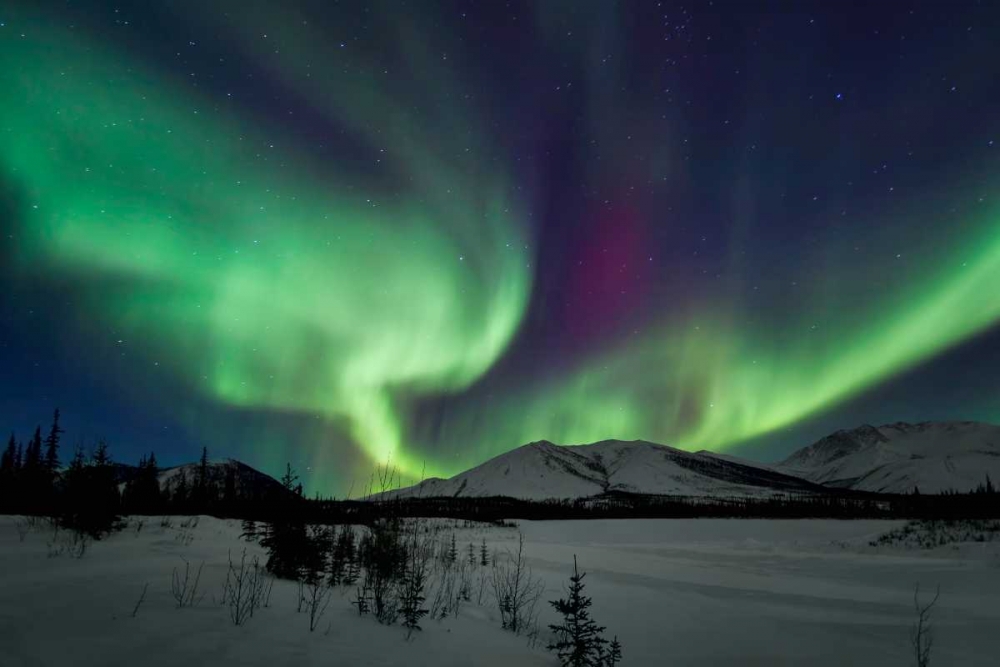 Aurora Borealis I art print by Larry Malvin for $57.95 CAD
