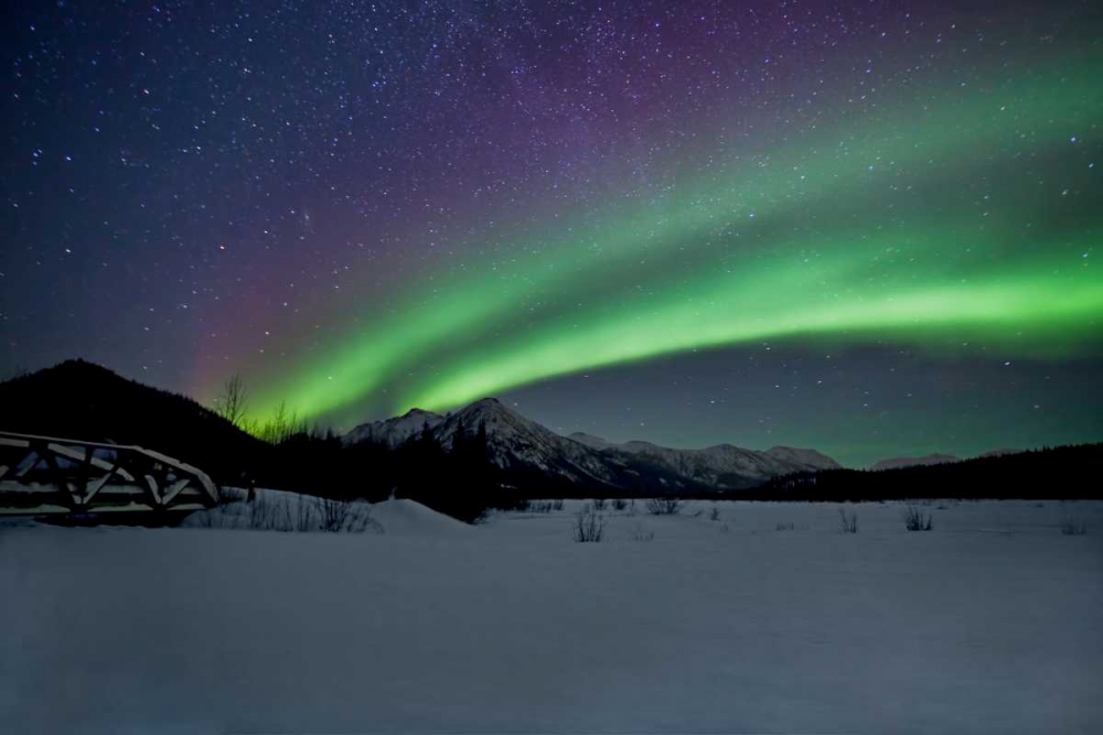 Aurora Borealis II art print by Larry Malvin for $57.95 CAD