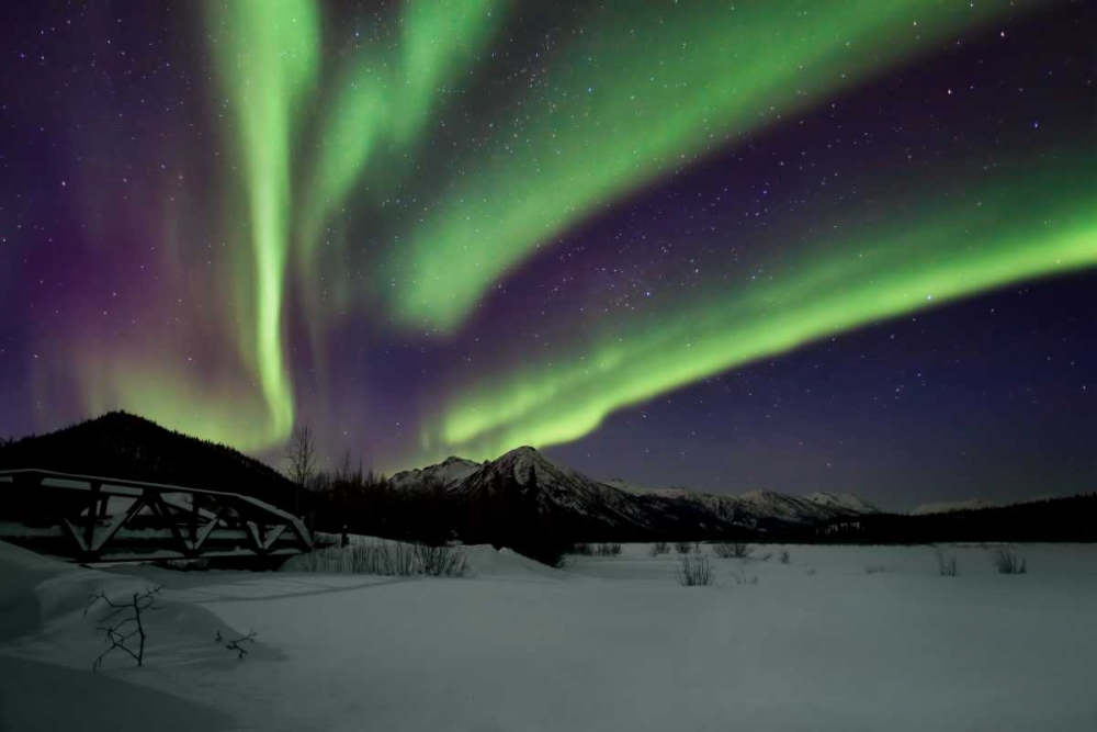 Aurora Borealis IV art print by Larry Malvin for $57.95 CAD