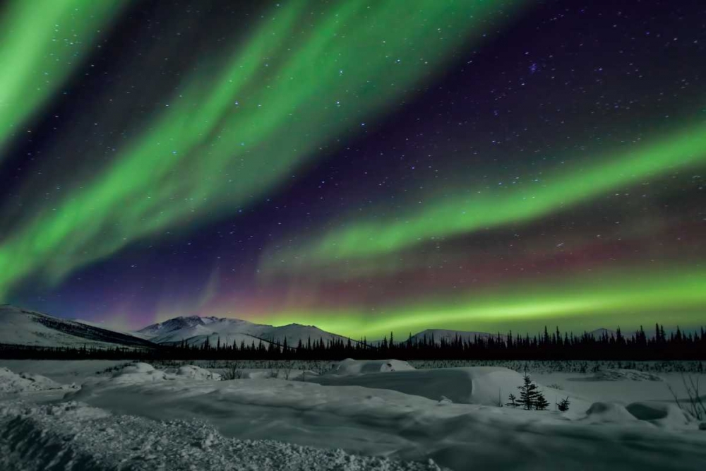 Aurora Borealis V art print by Larry Malvin for $57.95 CAD