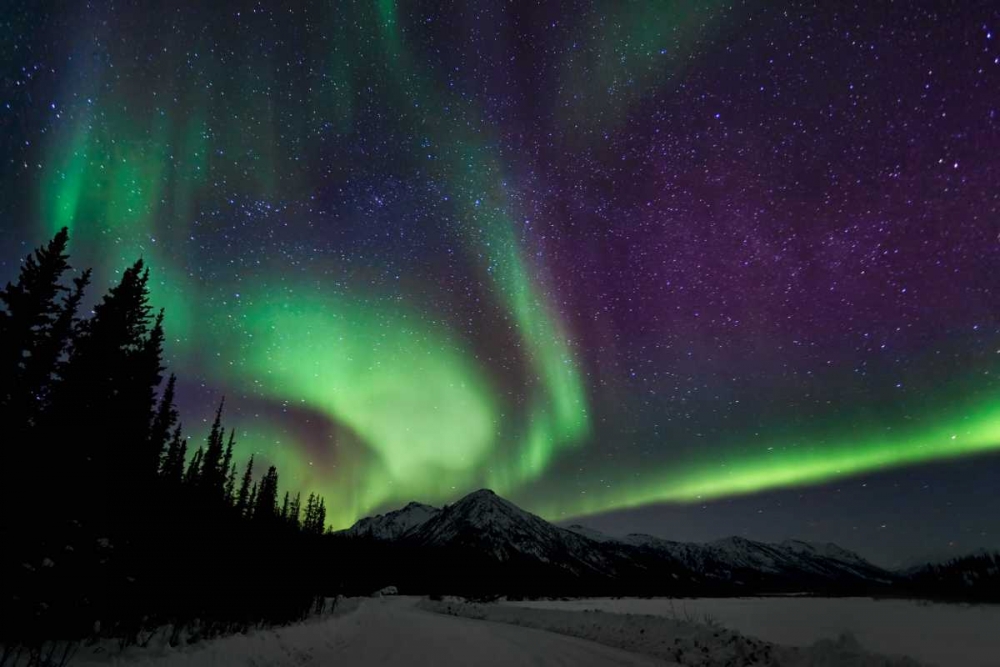 Aurora Borealis VI art print by Larry Malvin for $57.95 CAD