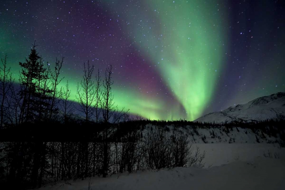Aurora Borealis VII art print by Larry Malvin for $57.95 CAD