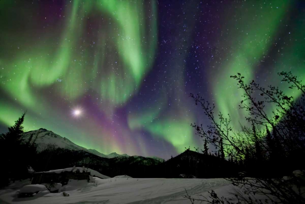 Aurora Borealis VIII art print by Larry Malvin for $57.95 CAD