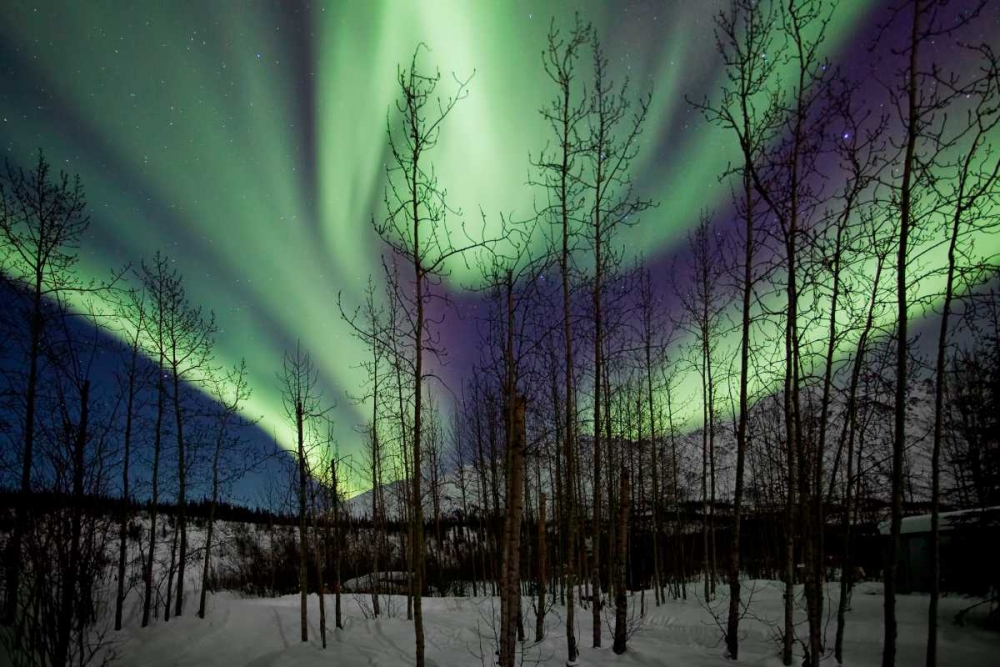 Aurora Borealis IX art print by Larry Malvin for $57.95 CAD